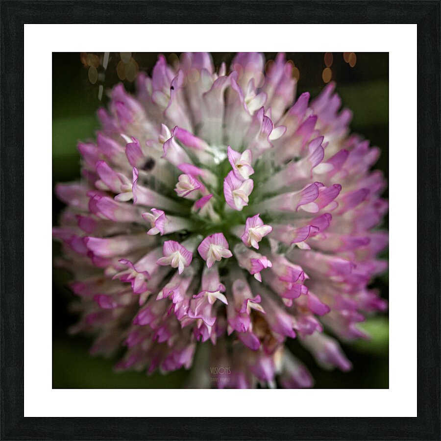 44A6046 Picture Frame print