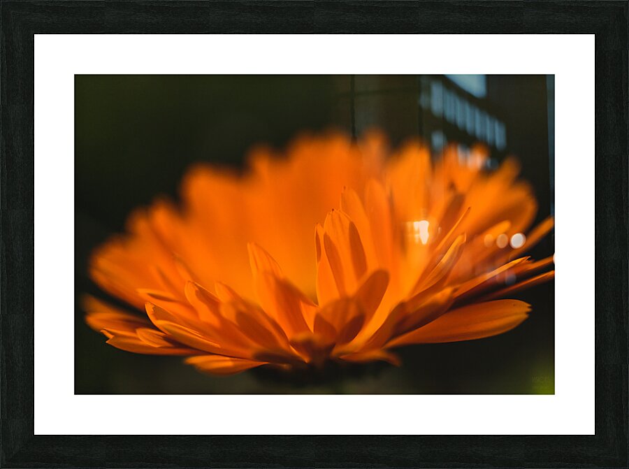  44A6516 Picture Frame print