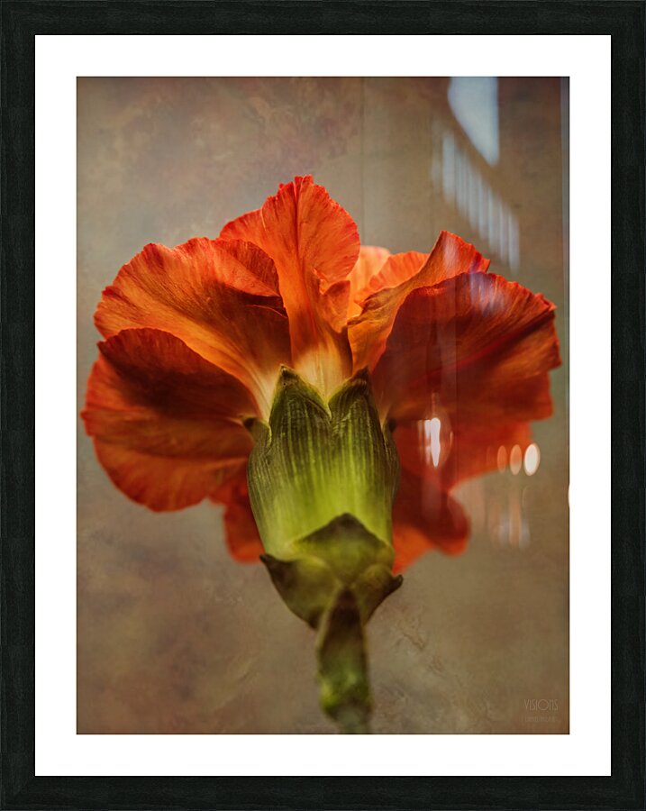  44A6414 Picture Frame print