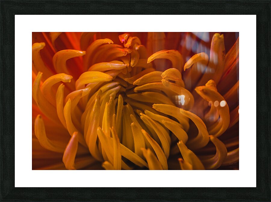  44A6372 Picture Frame print