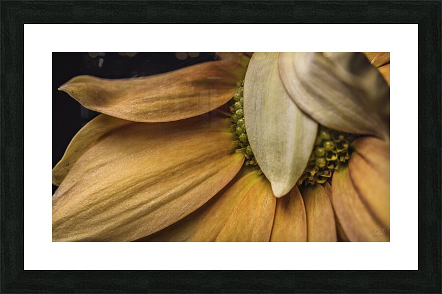 44A6424 Picture Frame print
