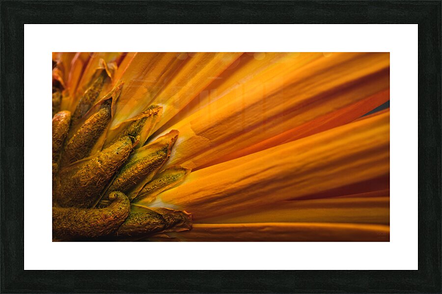  44A6365 Picture Frame print