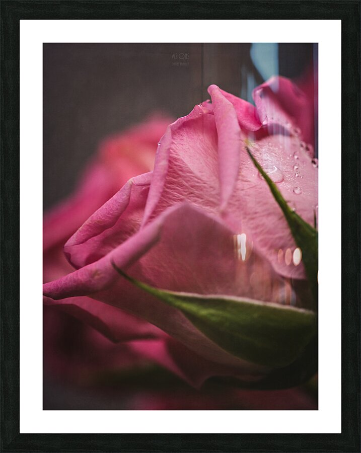  44A6849 Picture Frame print