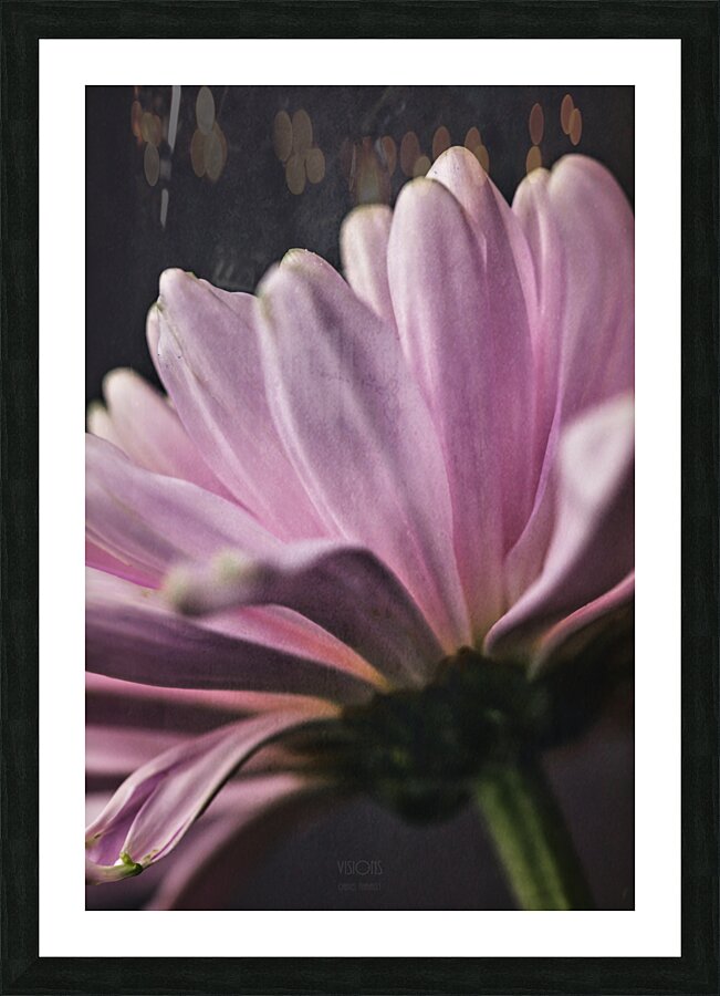  44A6807 Picture Frame print