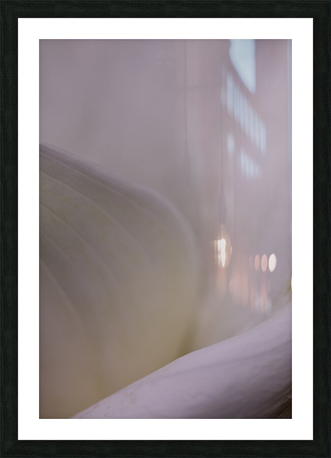  44A6774 Picture Frame print
