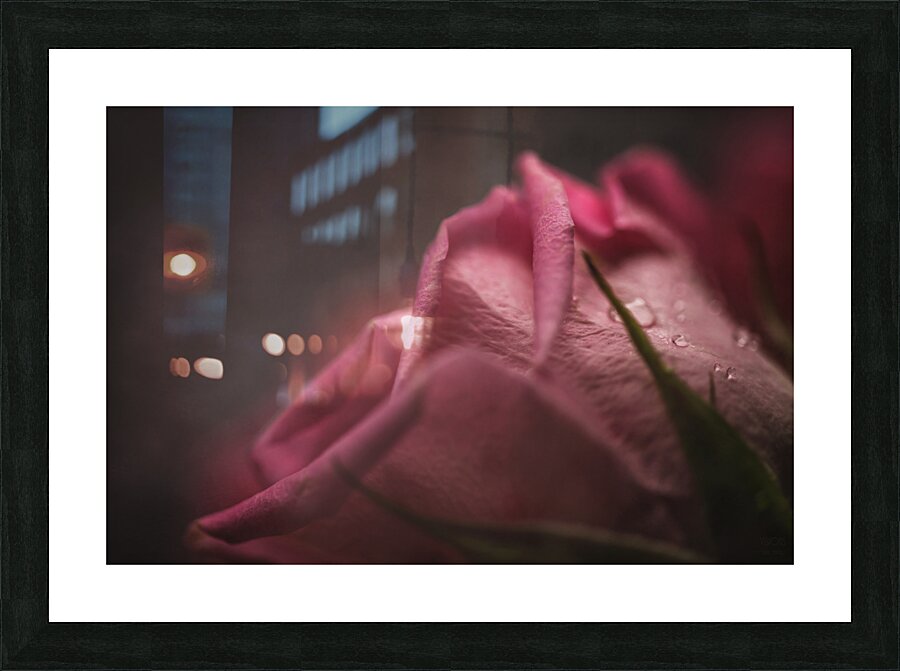  44A6851 Picture Frame print