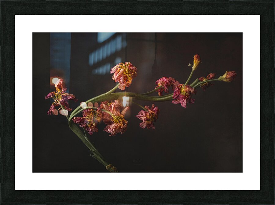  44A6933 Picture Frame print