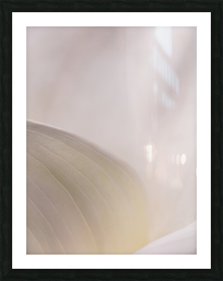  44A6773  Picture Frame print