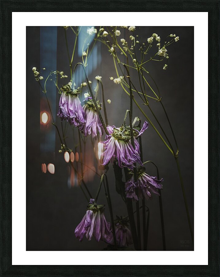  44A6913 Picture Frame print