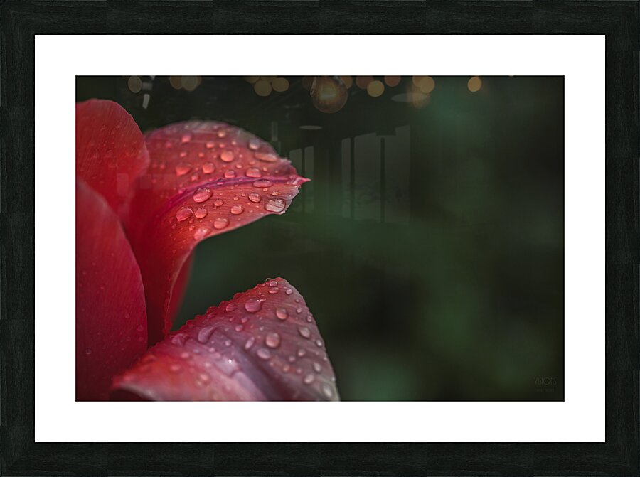  44A7172 Picture Frame print