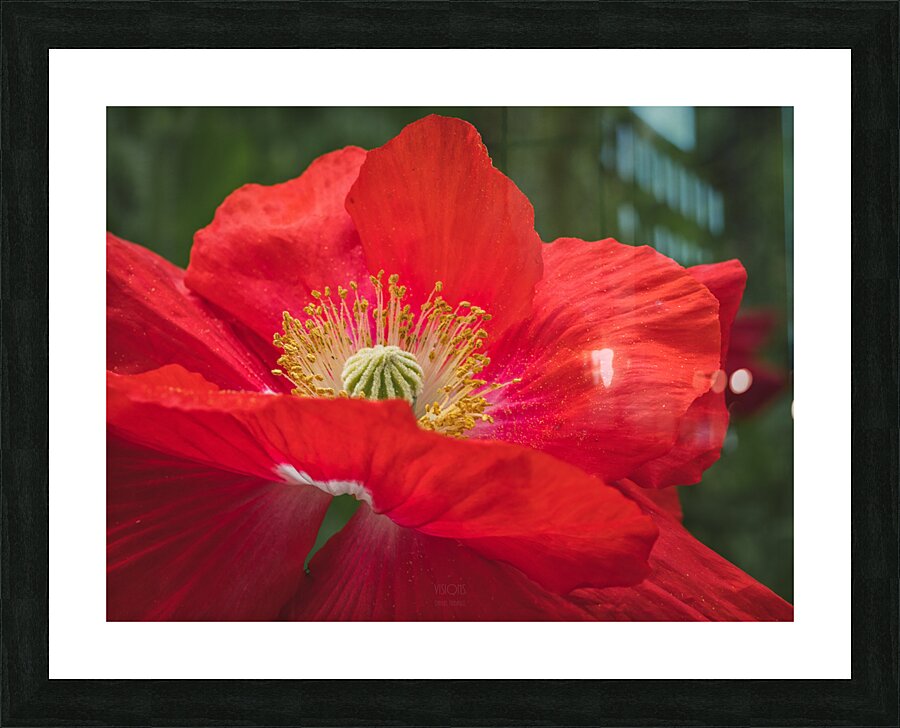  44A7572 Picture Frame print