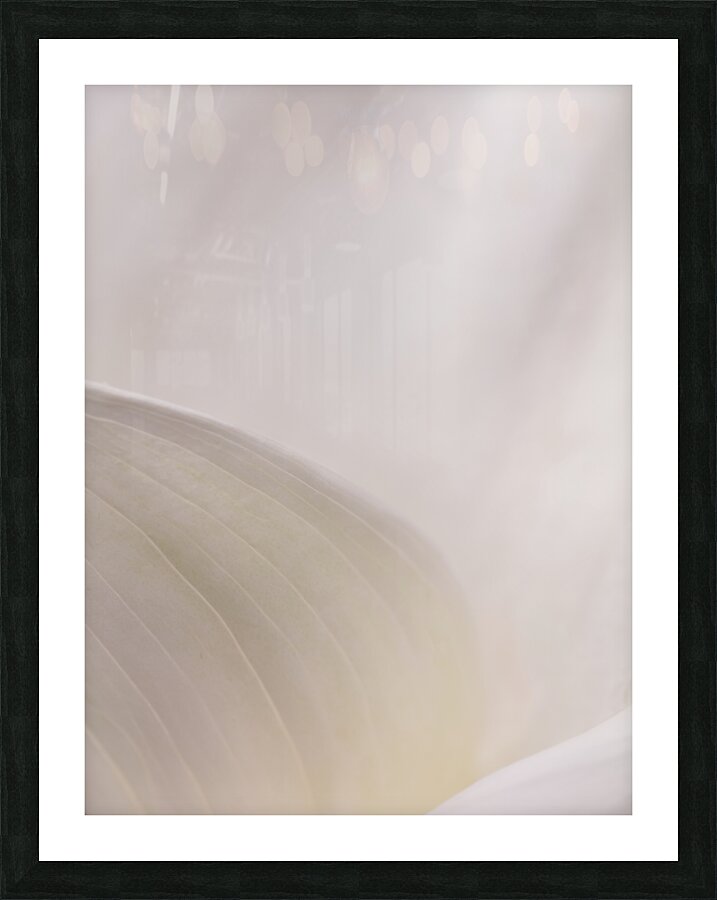 44A6773 Picture Frame print