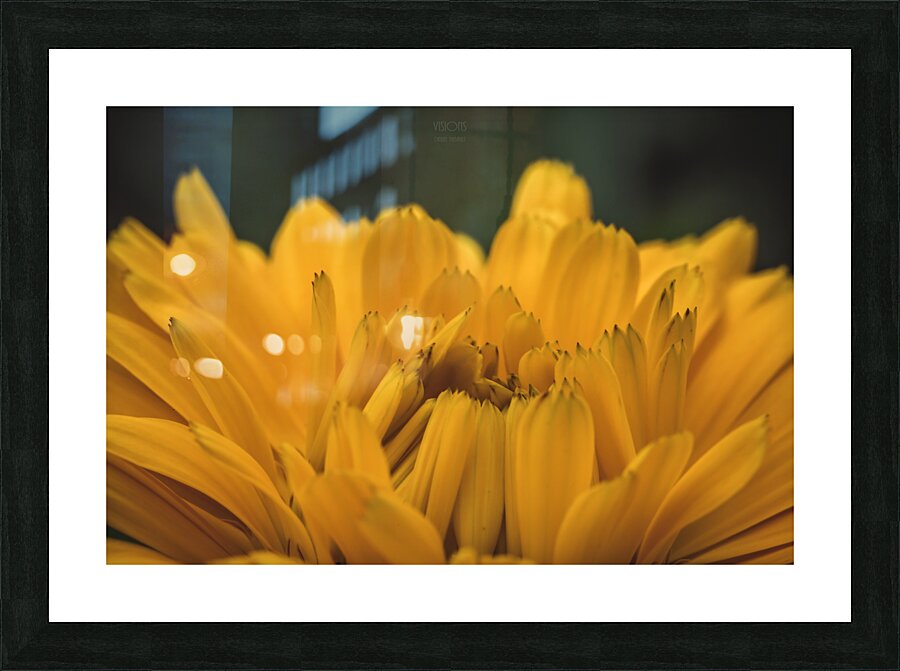  44A7564 Picture Frame print