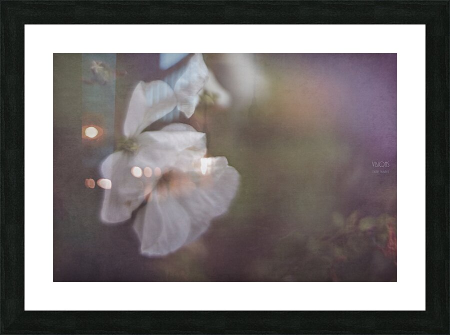  44A7910 Picture Frame print