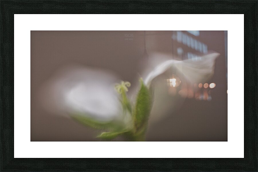  44A7911 Picture Frame print