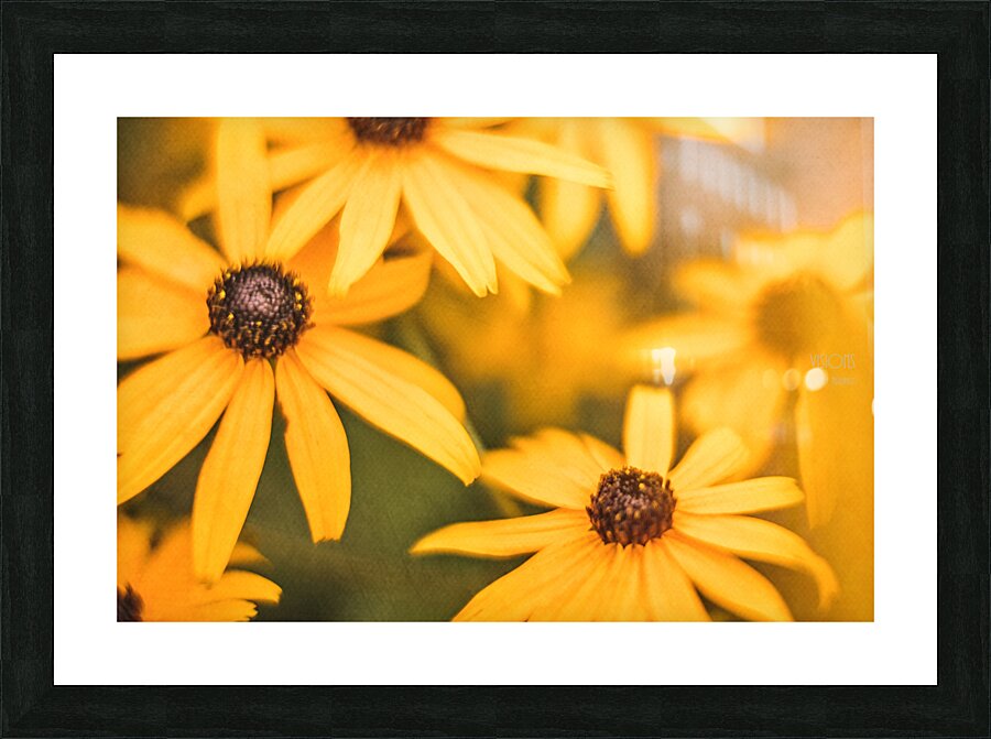  44A7893 Picture Frame print