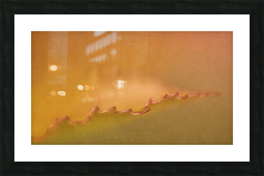  44A8053 Picture Frame print