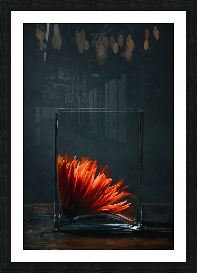  85A0302 Picture Frame print
