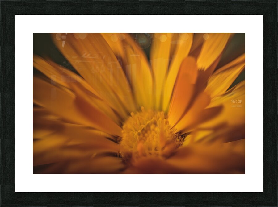  44A8201 Picture Frame print