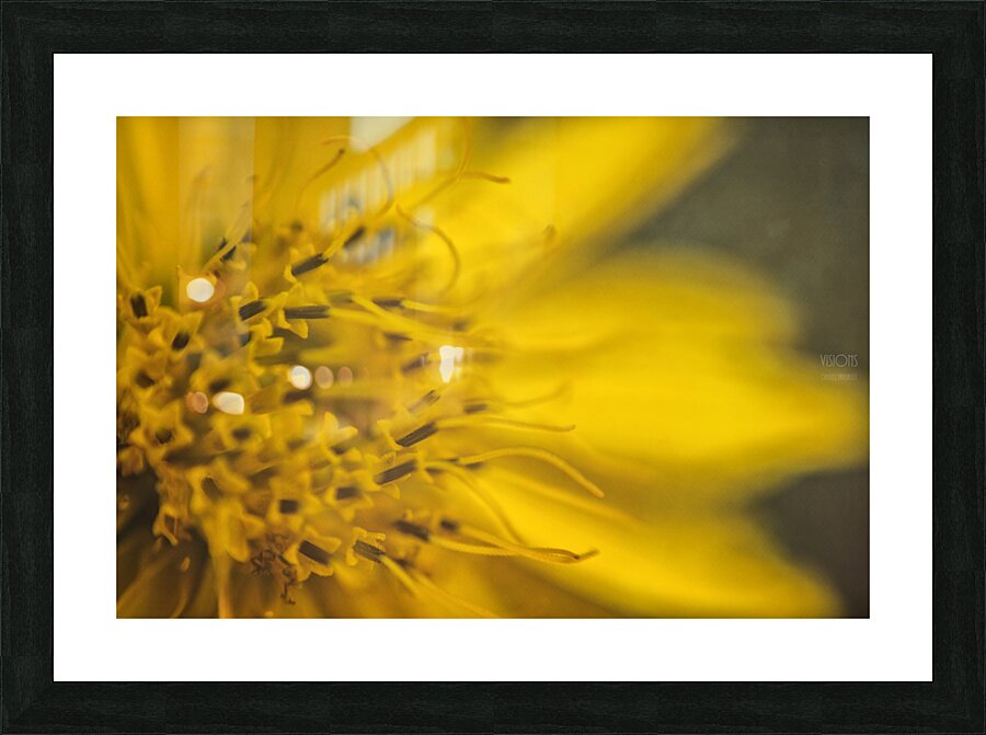  44A8155 Picture Frame print