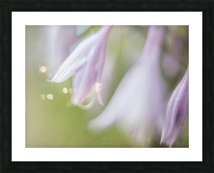 44A7933 Picture Frame print