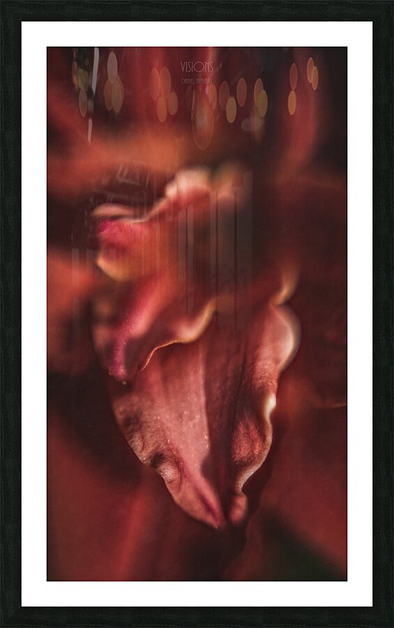  44A8303 Picture Frame print