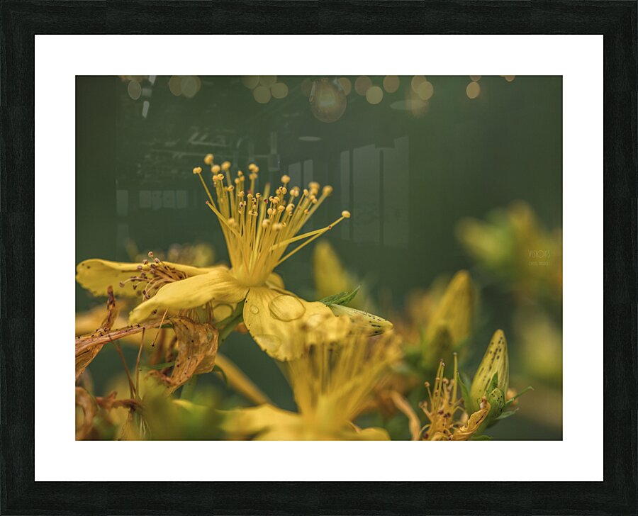  44A7618 Picture Frame print
