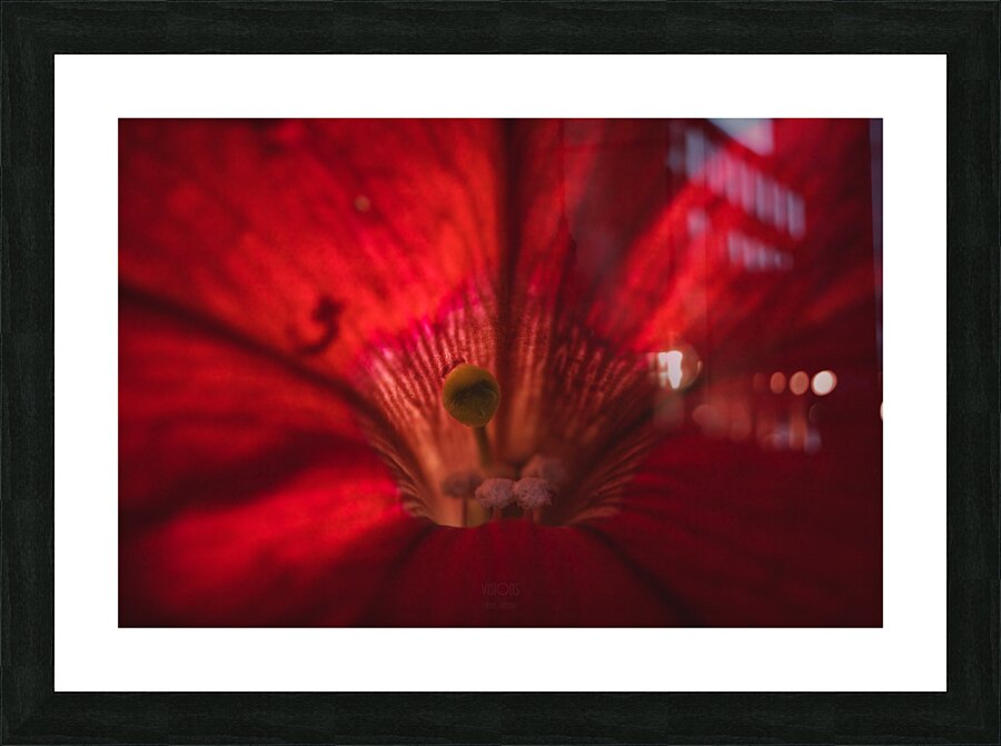  44A7790 Picture Frame print