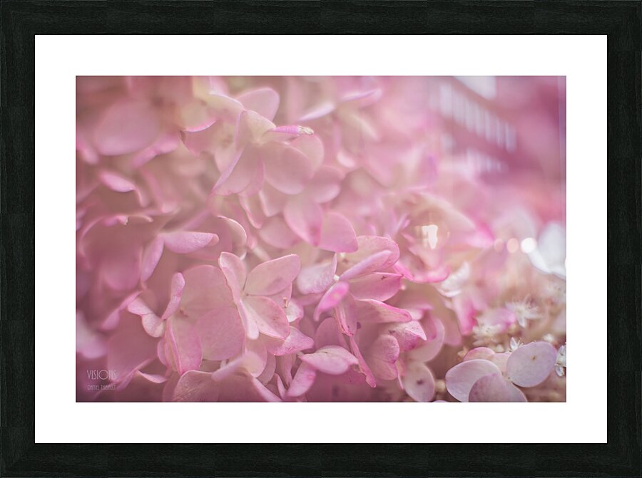  44A8167 Picture Frame print