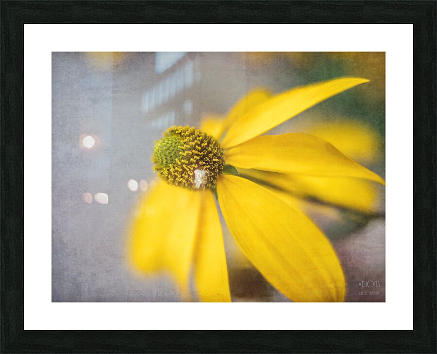  44A7971 Picture Frame print