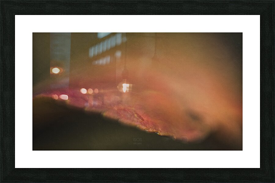  44A8019 Picture Frame print