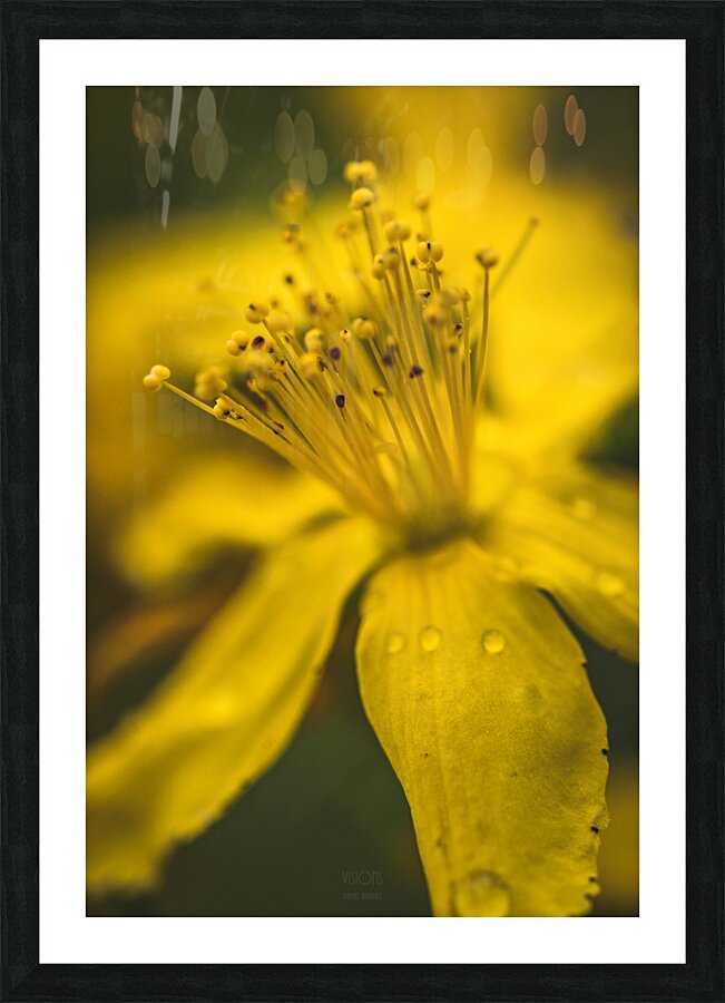  44A7626 Picture Frame print