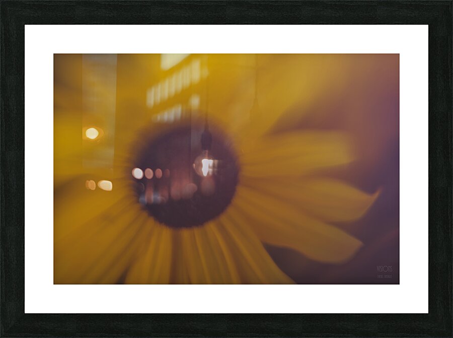  44A7816 Picture Frame print