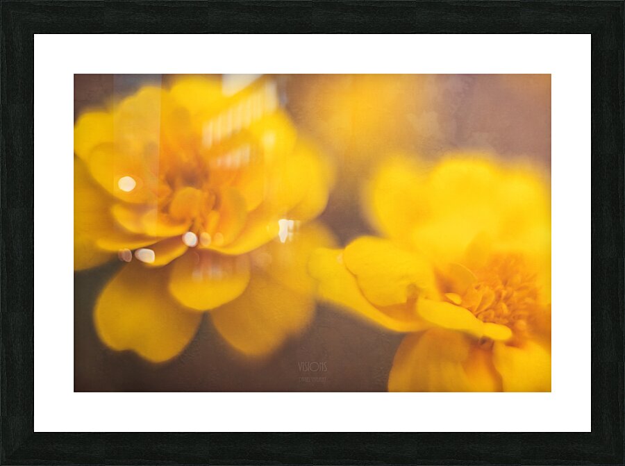  44A7904 Picture Frame print