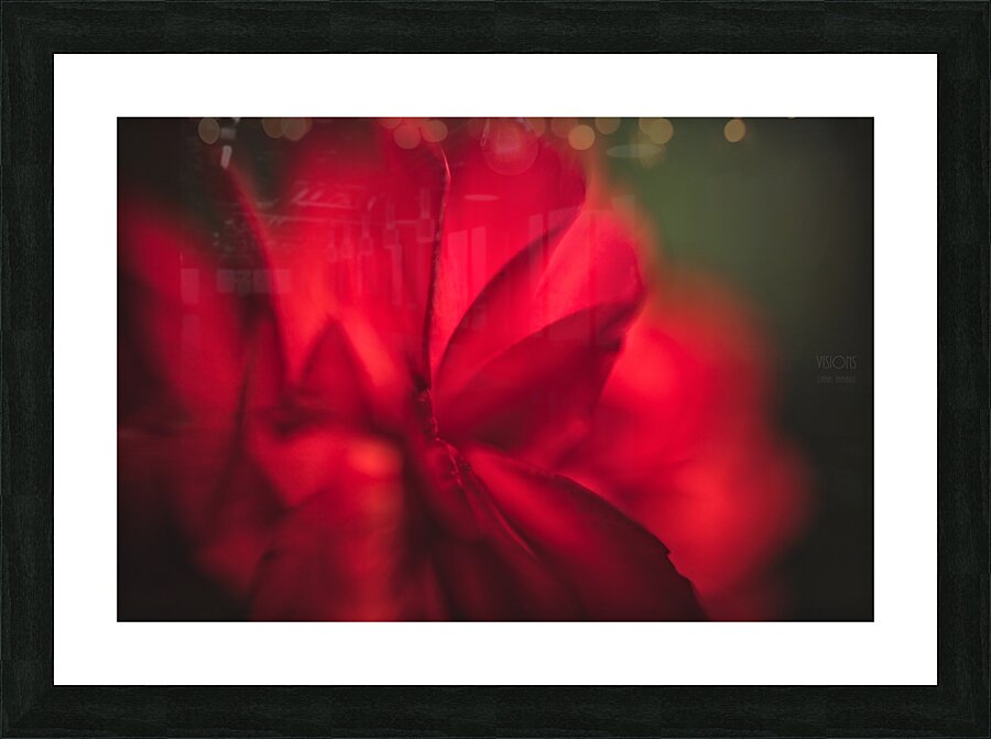 44A8243 Picture Frame print