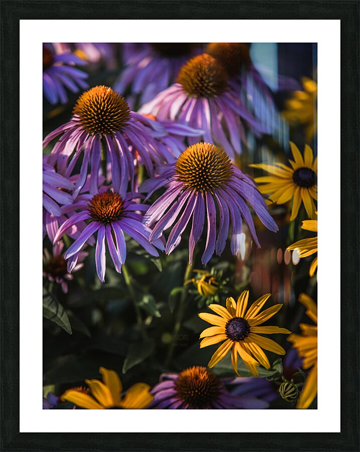  85A3580 Picture Frame print
