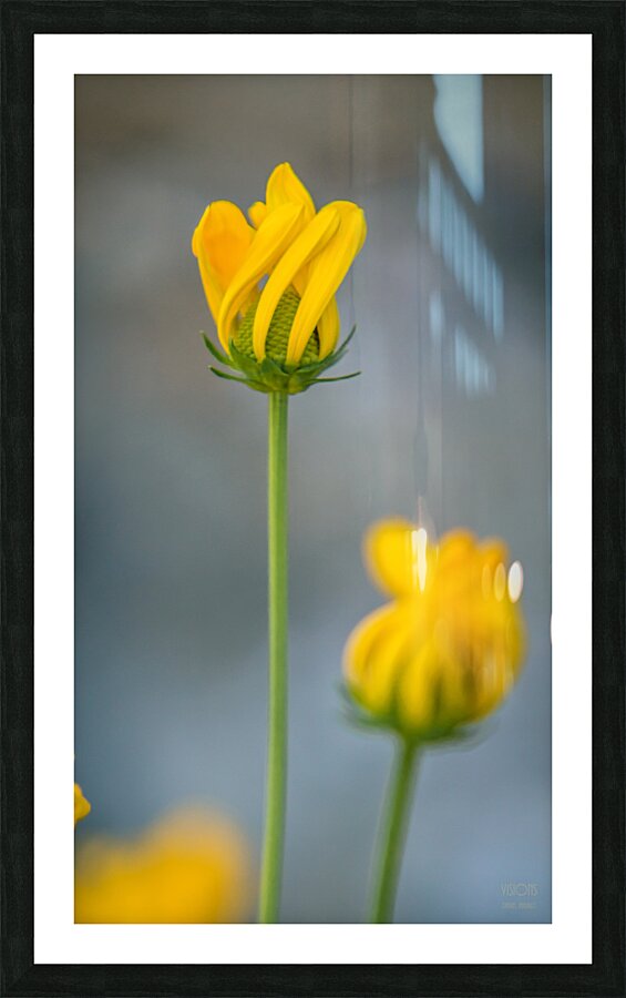  85A3589 Picture Frame print