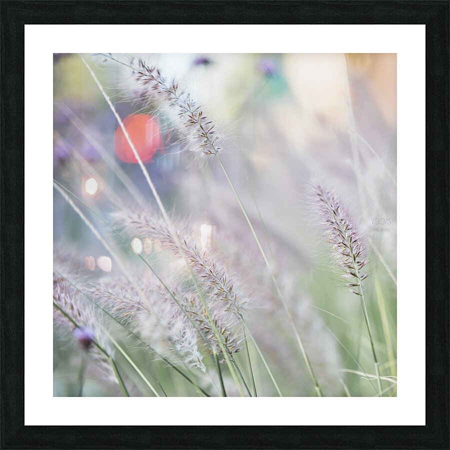  85A3649 Picture Frame print