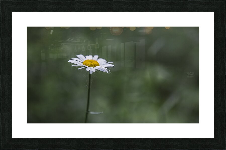  85A3153 Picture Frame print