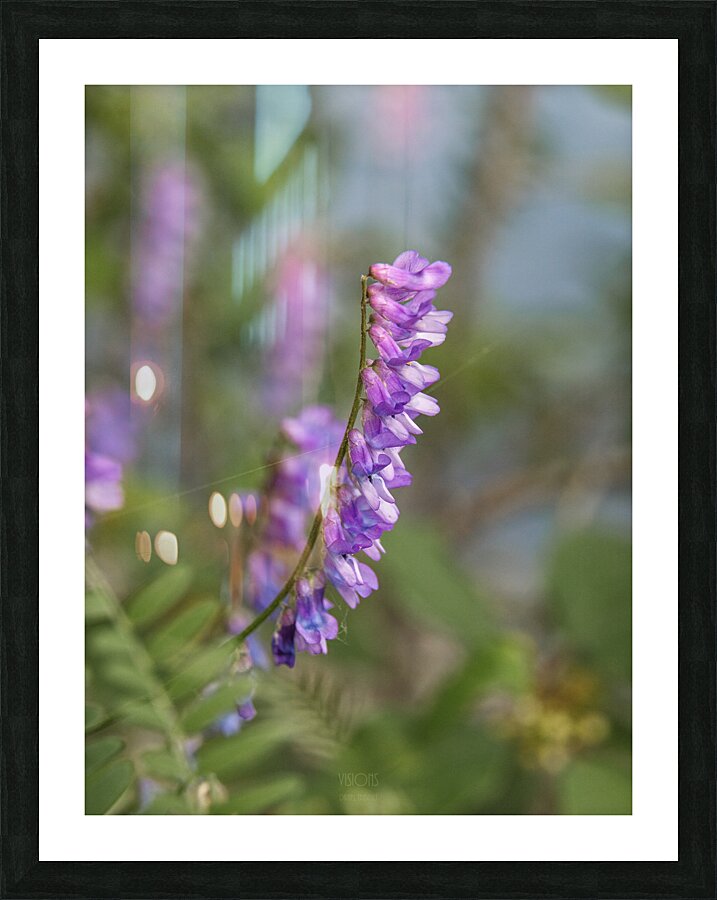  85A3055 Picture Frame print