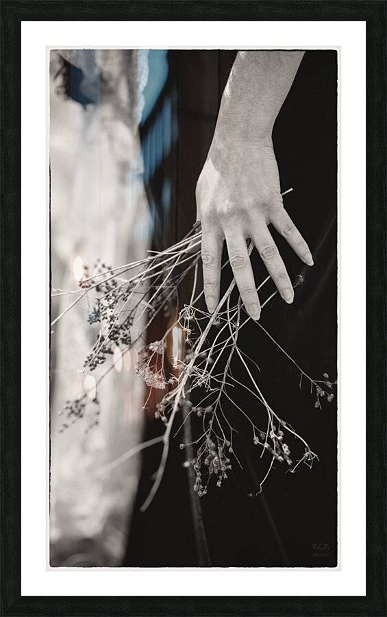  85A2607  Picture Frame print