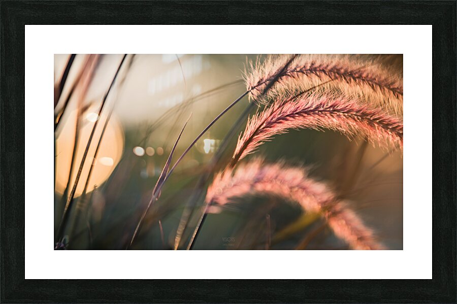  85A3692 Picture Frame print