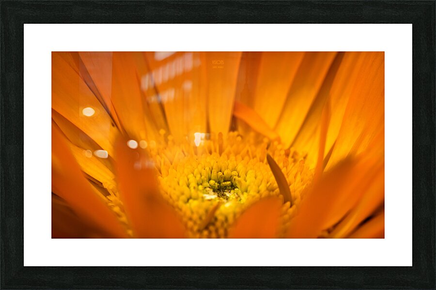  85A4623 Picture Frame print