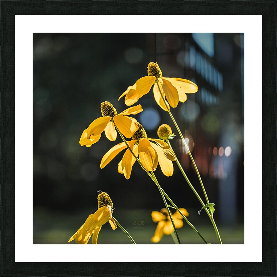  85A4121 Picture Frame print