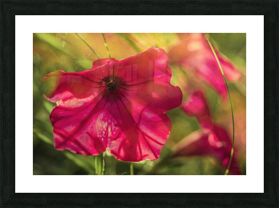  85A4192  Picture Frame print