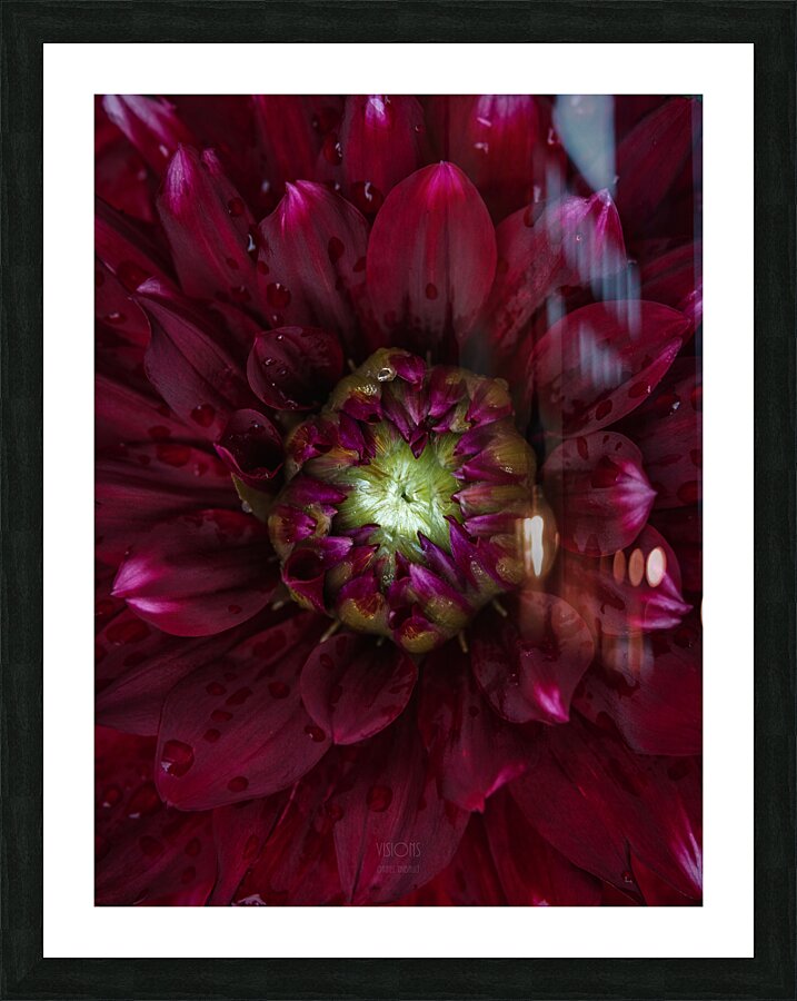  85A4605 Picture Frame print