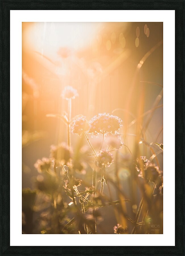  85A3687 Picture Frame print