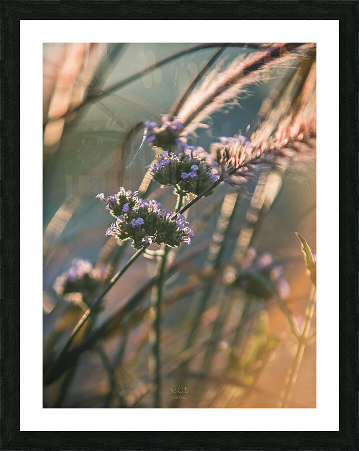  85A3680 Picture Frame print