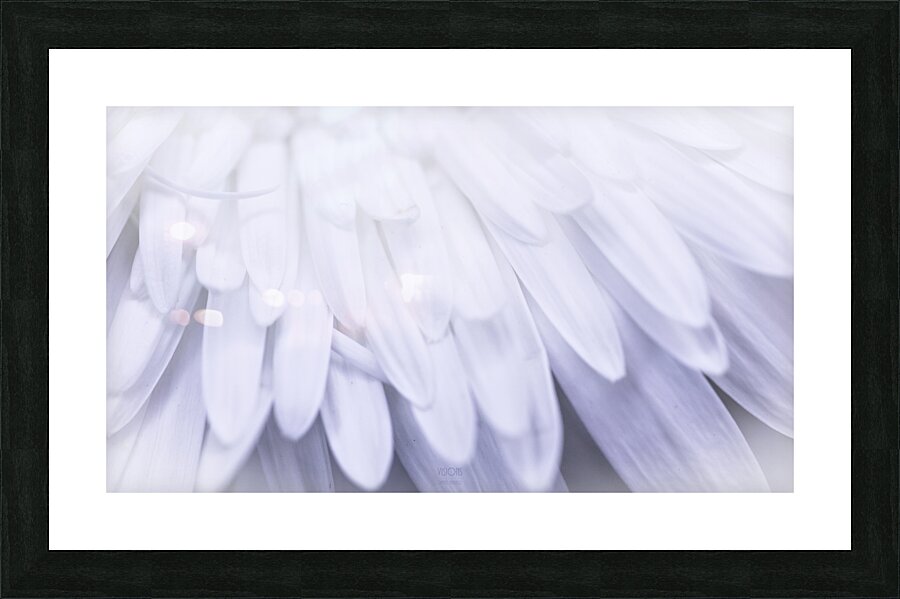  85A5921 Picture Frame print