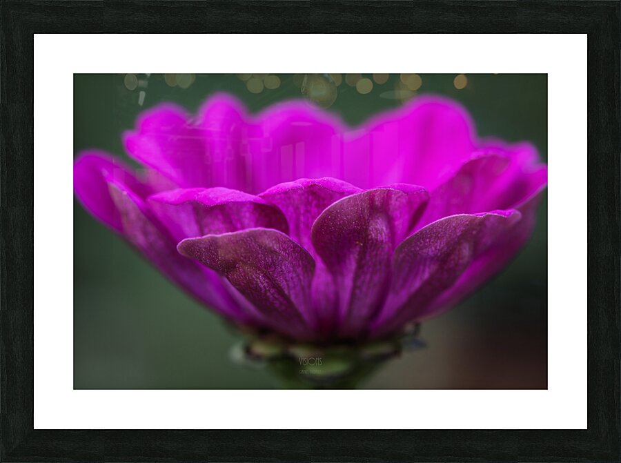  85A4783 Picture Frame print